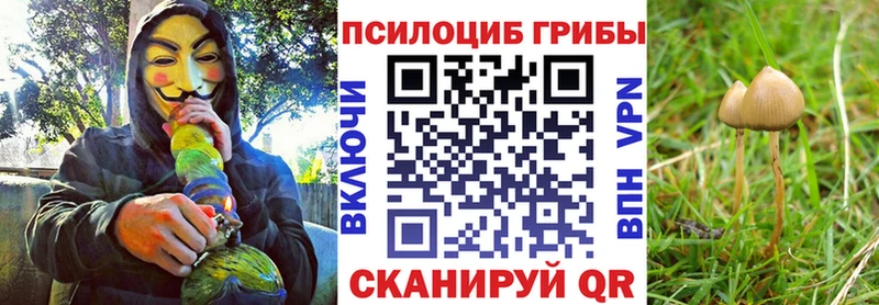 что такое   Бирск  гидра рабочий сайт  Галлюциногенные грибы MAGIC MUSHROOMS 